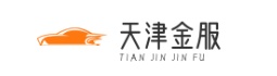 天津金服